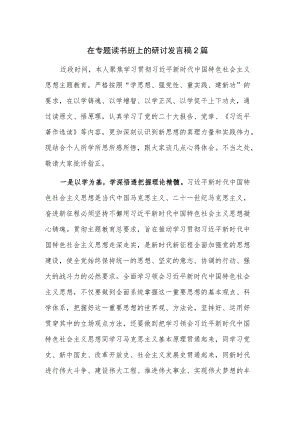 在专题读书班上的研讨发言稿2篇.docx
