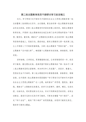 第二批主题教育党员干部研讨学习发言稿三.docx