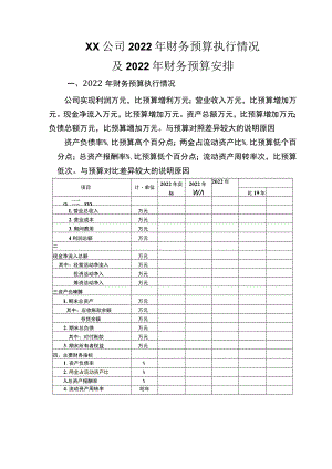 财务预算执行情况及次年财务预算安排(模板).docx