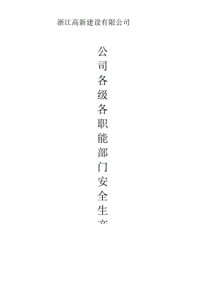 公司及项目部安全生产责任制.docx