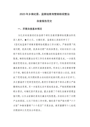 2023年乡镇纪委、监察组教育整顿检视整治自查报告范文.docx