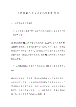 主题教育民主生活会检视 剖析材料.docx
