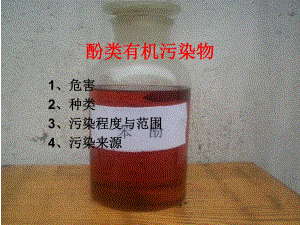 酚类有机污染物.ppt