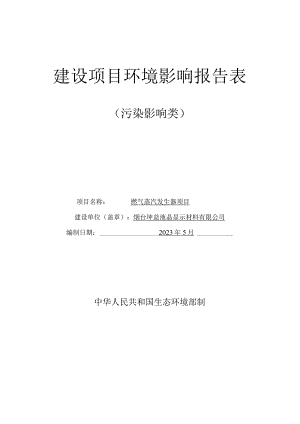 燃气蒸汽发生器项目环评报告表.docx