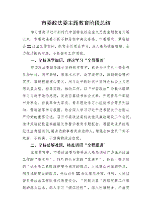 市委政法委主题教育阶段总结.docx