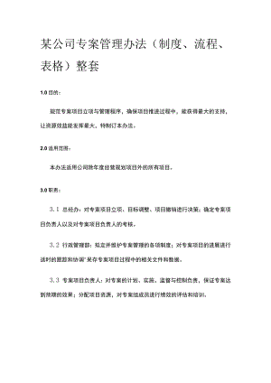某公司专案管理办法.docx