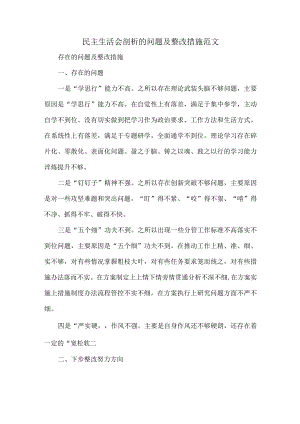 民主生活会剖析的问题及整改措施范文.docx