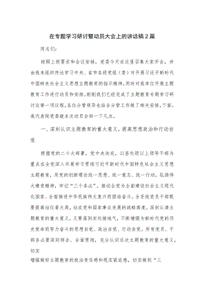 在专题学习研讨暨动员大会上的讲话稿2篇.docx