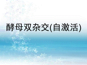 酵母双杂交自激活.ppt