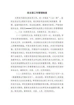 党支部工作管理制度.docx