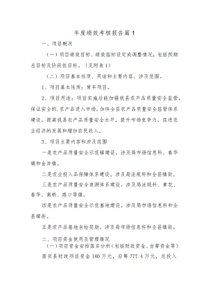 年度绩效考核报告篇1.docx