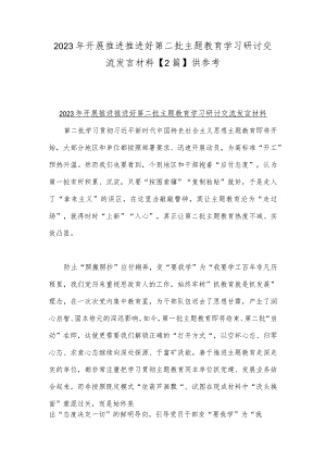 2023年开展推进推进好第二批主题教育学习研讨交流发言材料【2篇】供参考.docx