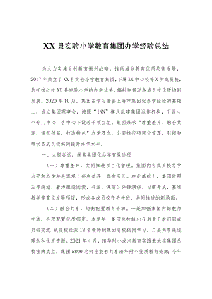 XX县实验小学教育集团办学经验总结.docx