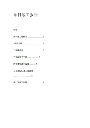 项目竣工报告.docx