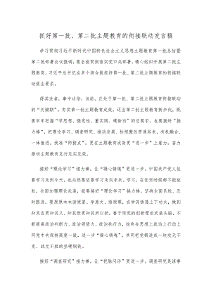 抓好第一批、第二批主题教育的衔接联动发言稿.docx