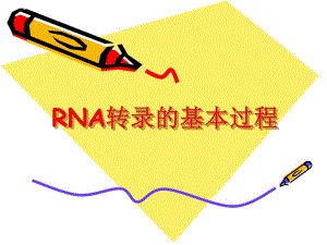 转录的基本过程.ppt