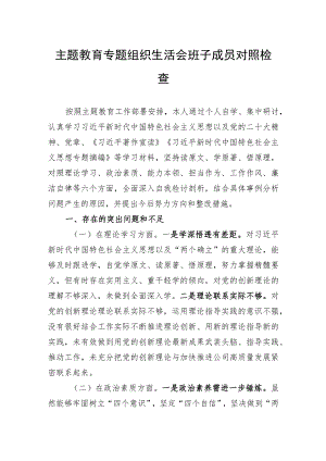 主题教育专题组织生活会班子成员对照检查.docx