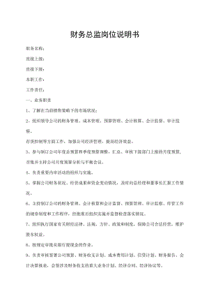 财务总监岗位说明书.docx