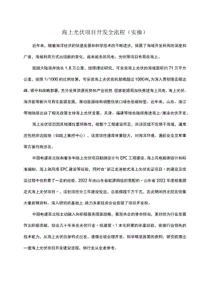海上光伏项目开发全流程(实操).docx