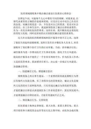 2023年医药领域腐败集中整治廉洁建设行医教育护士长心得体会 合辑六篇 .docx
