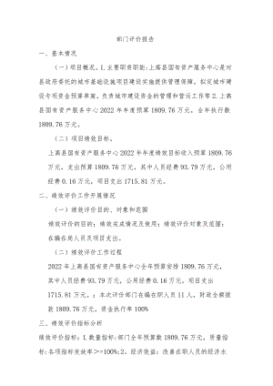 部门评价报告.docx