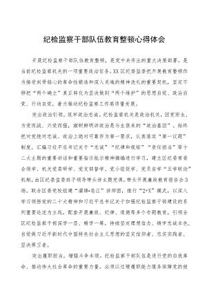 (四篇)2023年纪委书记关于全国纪检监察干部队伍教育整顿心得体会.docx