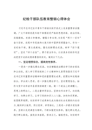 2023纪检干部队伍教育整顿心得体会交流发言提纲(九篇).docx