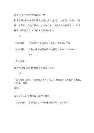 某公司技术职级晋升与降级标准.docx