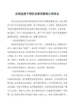 (四篇)纪检组长关于纪检监察干部队伍教育整顿心得体会.docx