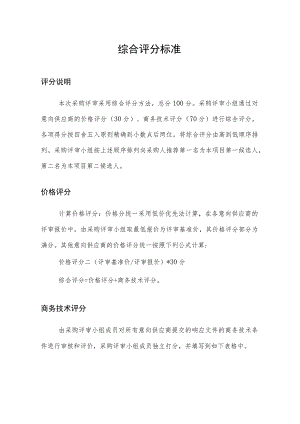 综合评分标准.docx