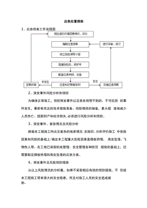 应急处置措施.docx