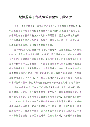 (四篇)纪检监察组组长关于全国纪检监察干部队伍教育整顿的心得体会.docx