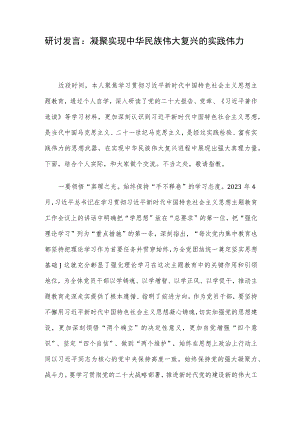 研讨发言：凝聚实现中华民族伟大复兴的实践伟力.docx