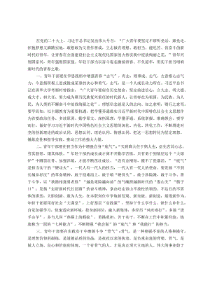 青年干部座谈交流发言：坚定理想信念争做新时代“三气”青年.docx