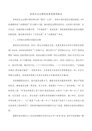 街道社会治理经验典型案例做法.docx