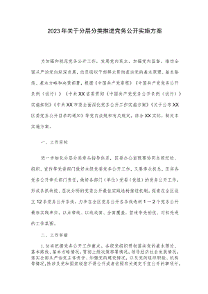 2023年关于分层分类推进党务公开实施方案.docx