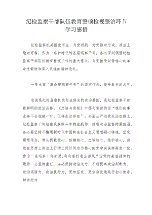 纪检监察干部队伍教育整顿检视整治环节学习感悟.docx