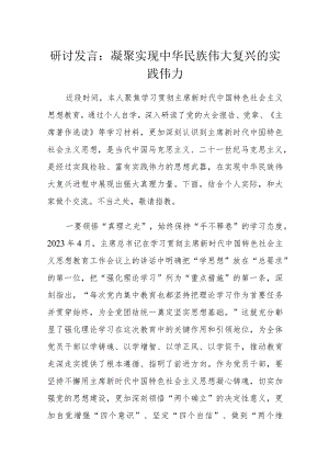 研讨发言：凝聚实现中华民族伟大复兴的实践伟力.docx