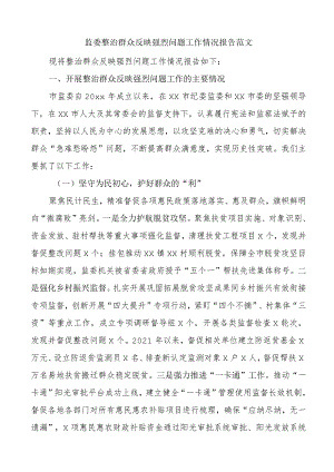 2023-2024纪委监委整治群众反映强烈问题工作情况报告（汇报总结）.docx