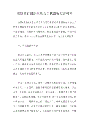 主题教育组织生活会自我剖析发言材料.docx
