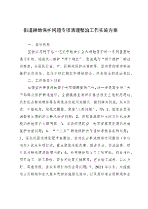 街道耕地保护问题专项清理整治工作实施方案.docx