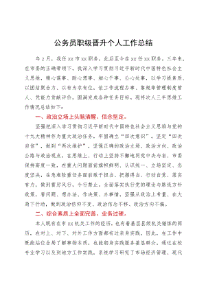 公务员职级晋升个人工作总结.docx