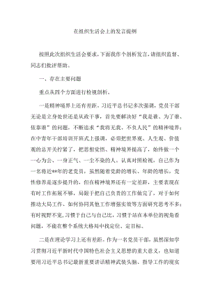 在组织生活会上的发言提纲.docx
