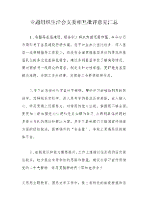专题组织生活会支委相互批评意见汇总.docx