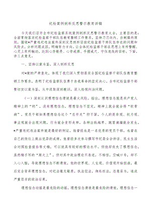 纪检案例剖析反思警示教育讲稿.docx