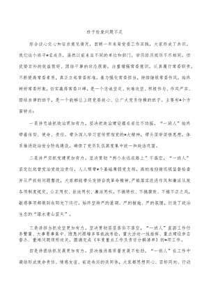 班子检查问题不足.docx