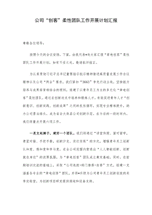 公司“创客”柔性团队工作开展计划汇报.docx
