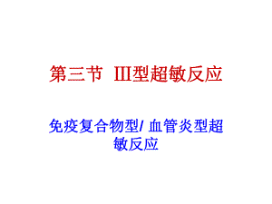 超敏反应2B.ppt