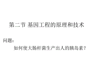 课件基因工程的基本操作程序.ppt