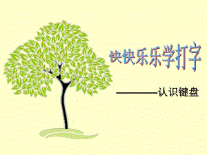 认识键盘和特殊功能键的介绍.ppt